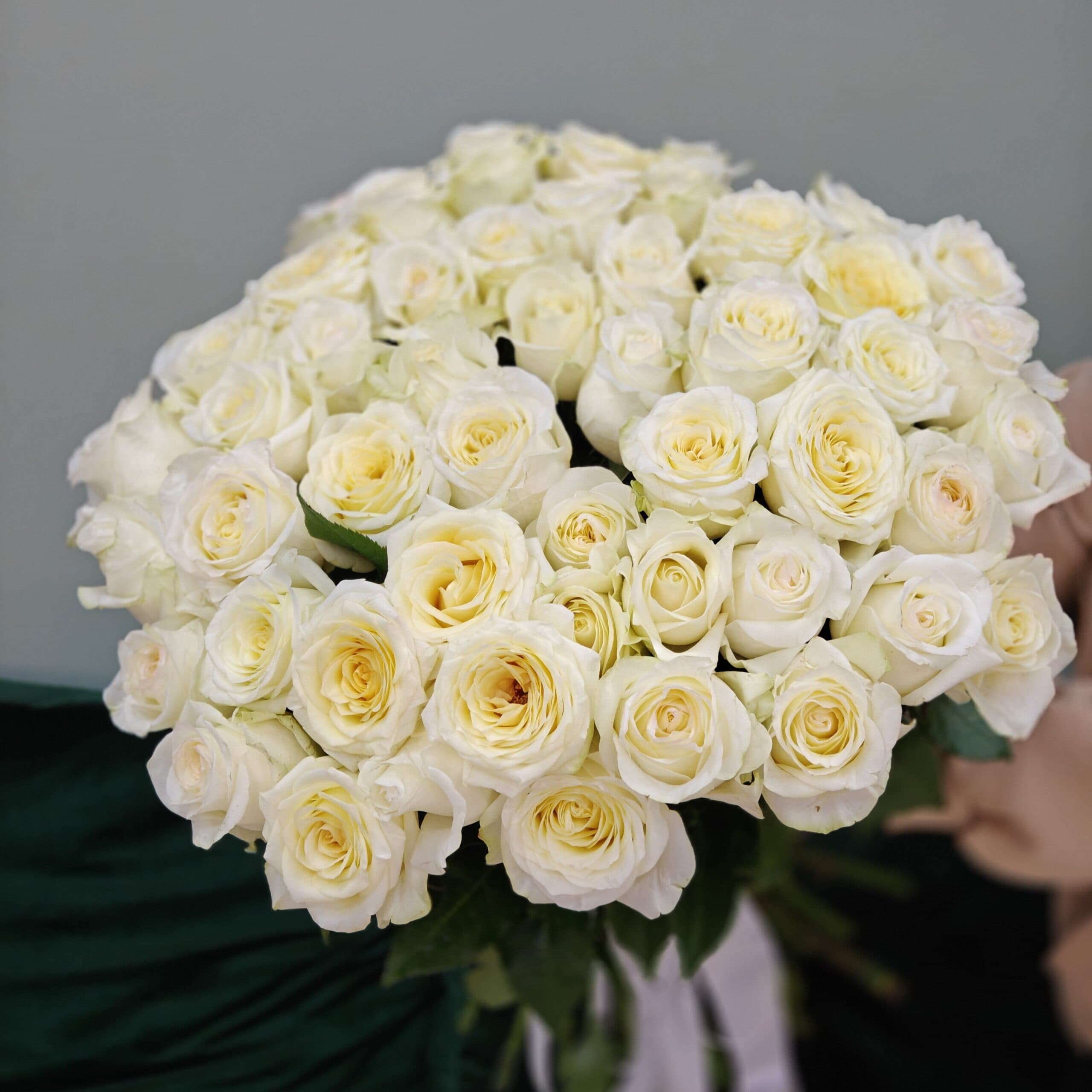 Букет 51 роза